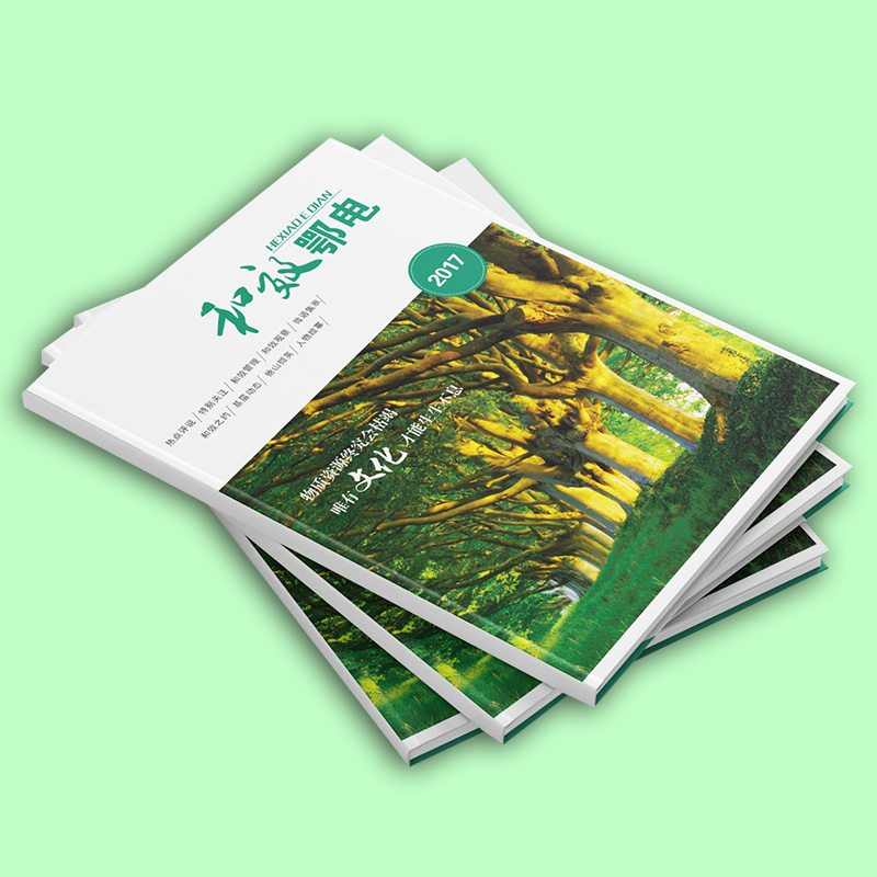 海南?？谟∷S 畫冊(cè)印刷 定制各類畫冊(cè)印刷